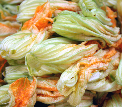 Squash blossoms for Castilian-style zucchini with eggplant and tomatoes.