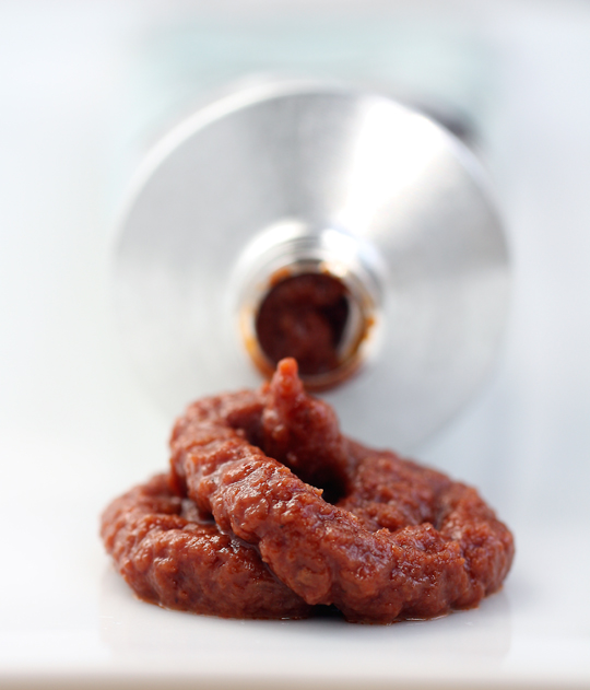 The Fifth Taste — In A Tube Food Gal