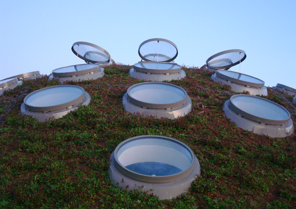 The living roof.