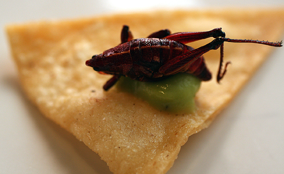 Read this -- and eat this -- with an open mind.