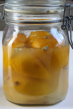 Week 2: The lemons are softening, and exuding their juice.