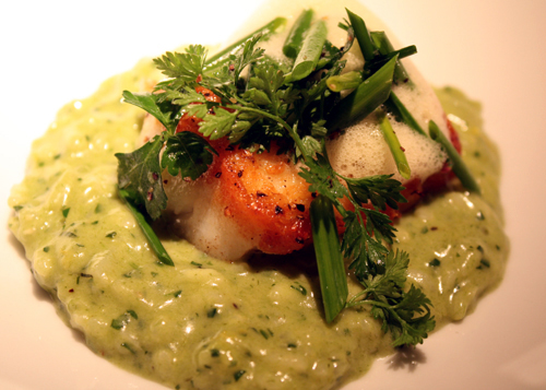 Spring garlic risotto with monkfish, as cooked by a pastry chef.