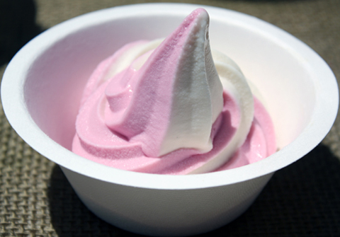 Earthbound Farms' organic fro-yo served at its farmstand.