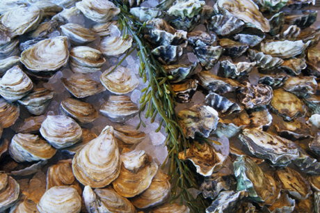 An array of fresh shellfish at Waterbar. (Photo courtesy of Val Atkinson)