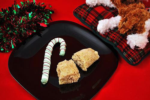 Christmas goodies for your canine friends. (Photo courtesy of Wag Hotels)