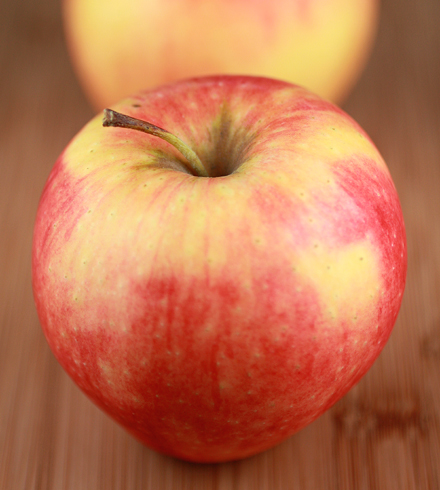 Heirloom Pinata apple.