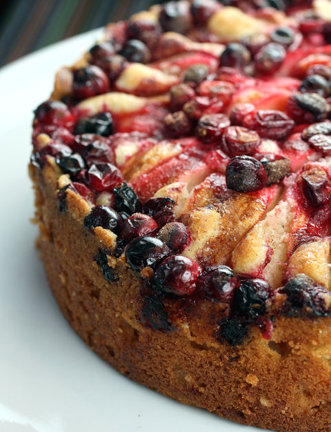 An apple-cranberry cake with a sense of time and place.