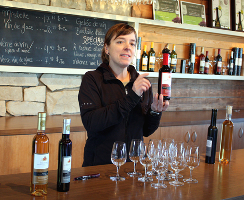 A tasting of icewines.