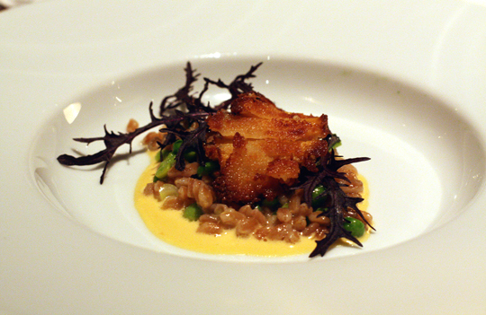 Crisp abalone on a bed of farro.