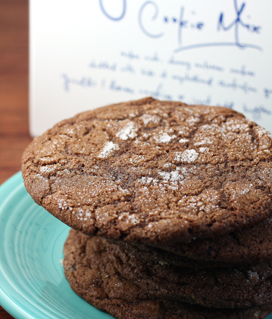 Bakesale Betty's ginger molasses cookies to bake at home.