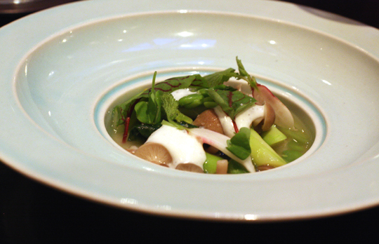Spring vegetables in a powerful dashi.