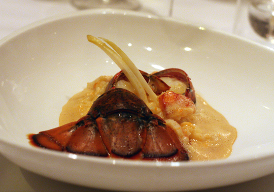 Luxurious lobster risotto.