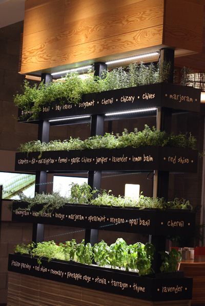 How many fast-casual places grow their own herbs on-site?