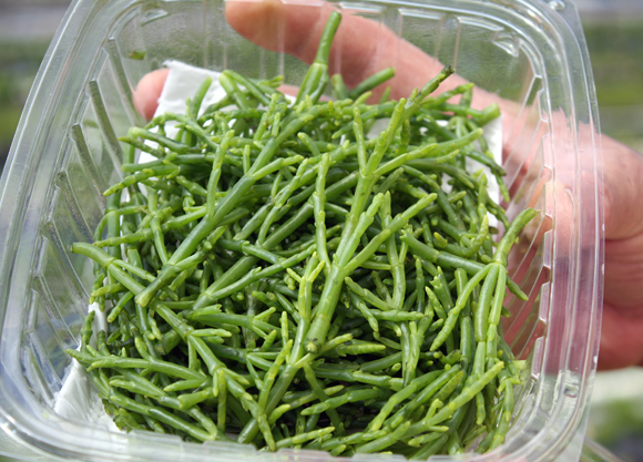 Crisp, salty sea beans are a delight to eat.