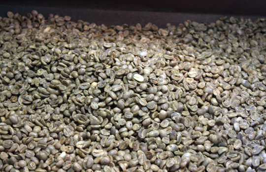 After the drying and fermenting are completed, the beans look like this.