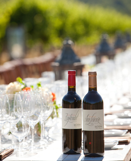 Enjoy Seghesio wines and a tasting menu in the vineyards. (Photo courtesy of Richard Knapp)