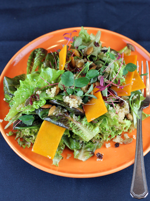 The very gourmet tasting "Winter Salad'' kit from Ecopia Farms. The very gourmet tasting "Winter Salad'' kit from Ecopia Farms.