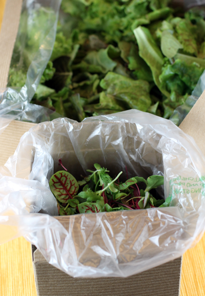 The artisan lettuce mix and micro herbs that come with each salad kit. The artisan lettuce mix and micro herbs that come with each salad kit.