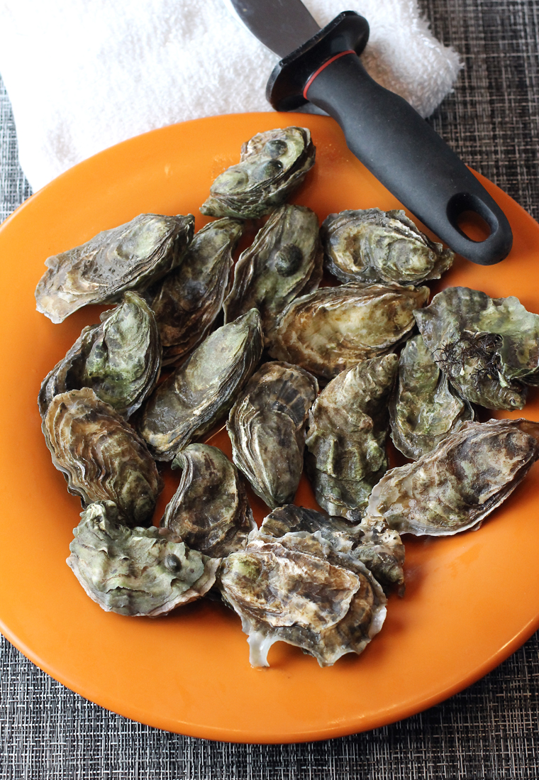 Fresh Tomales Bay oysters that I got at my local library, of all places, thanks to Real Good Fish.