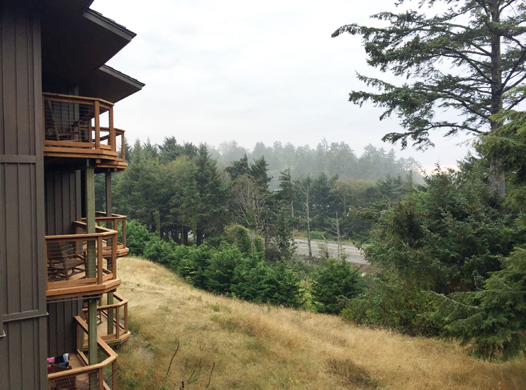 The view outside my room at Salishan.
