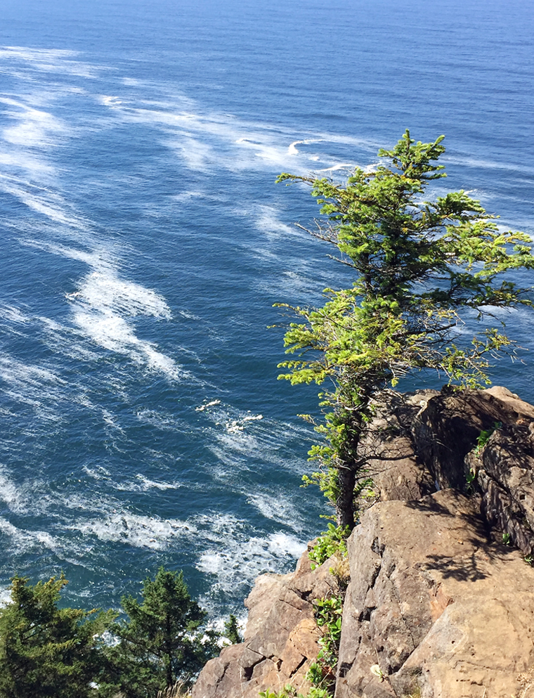 A view of the Oregon coast.