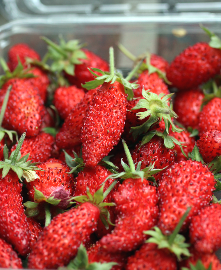 Happy Quail Farms' fraises de bois.