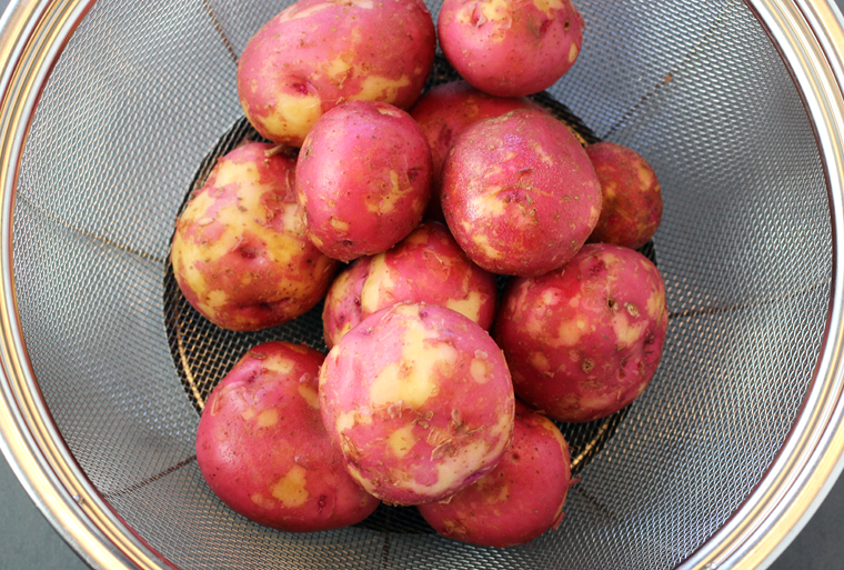 Just-picked spring new potatoes have very thin skins.