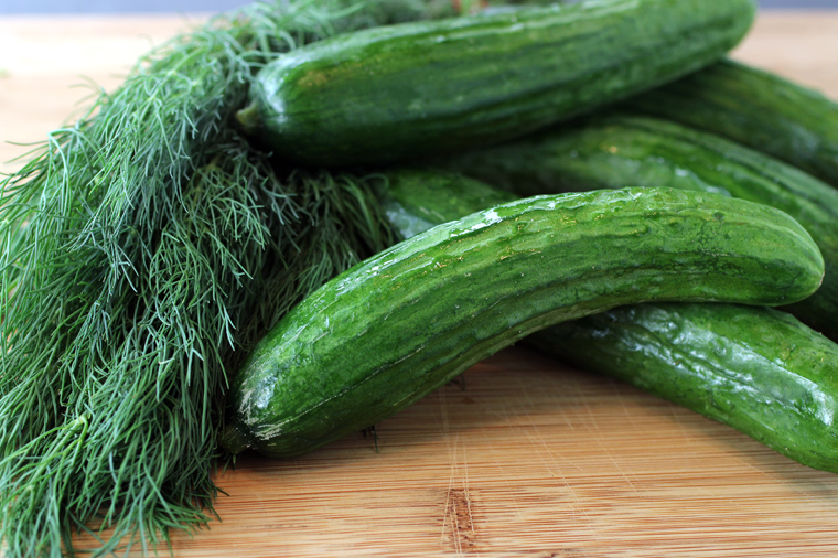 Mediterranean cucumbers and fresh dill.