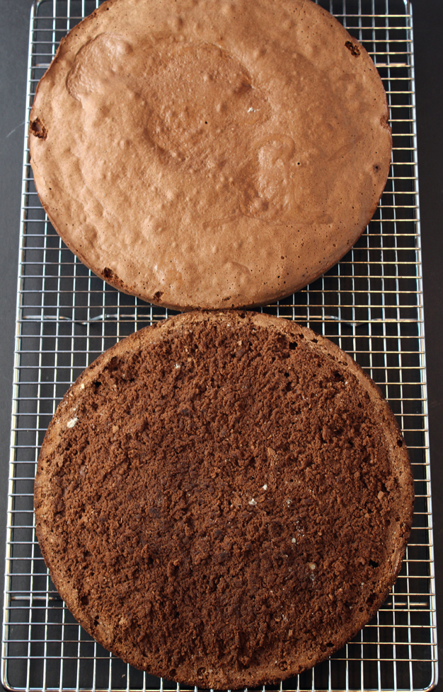 One layer (top) right out of the oven and unmolded; another layer that's had it's crisp top sliced off (bottom).