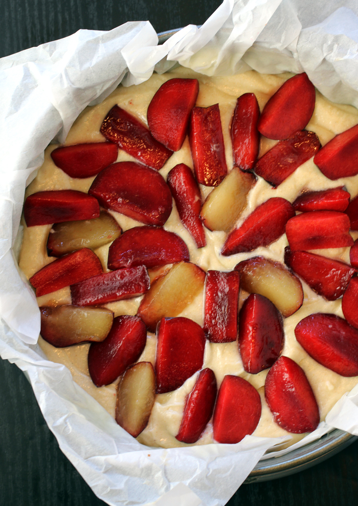 Arrange the plum slices on top of the batter.