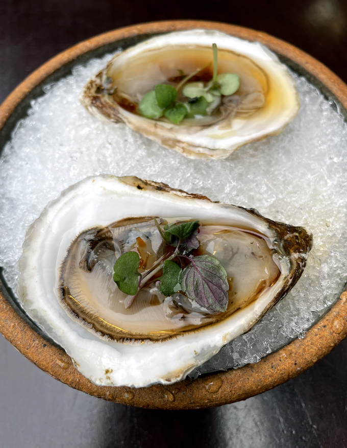 Ponzu oysters on the half shell.