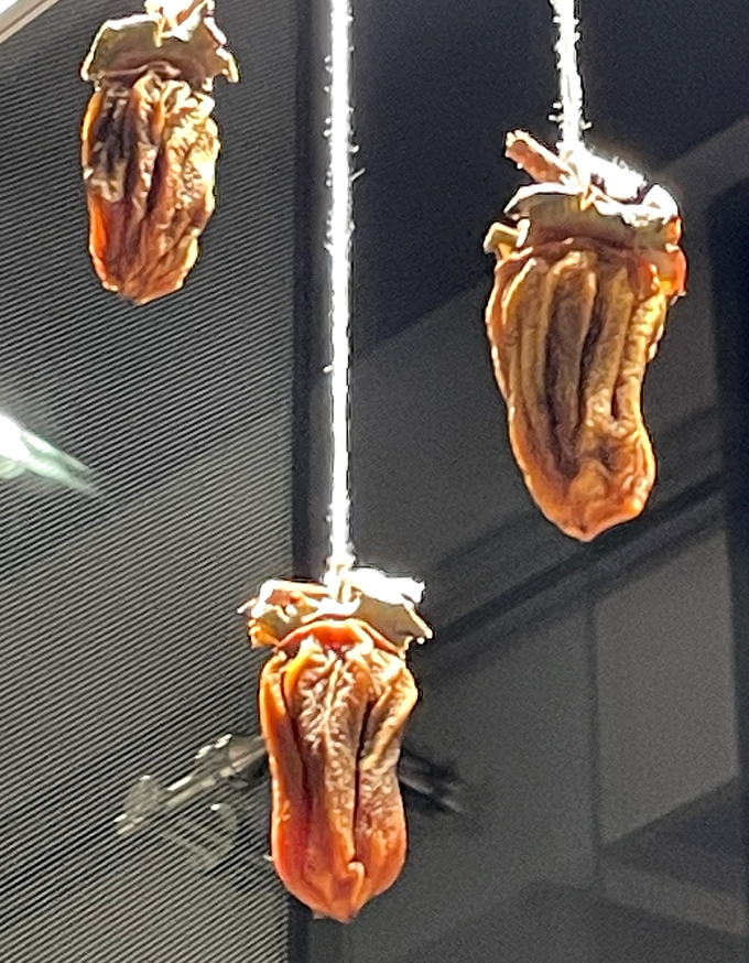 Preserved persimmons known as hoshigaki.
