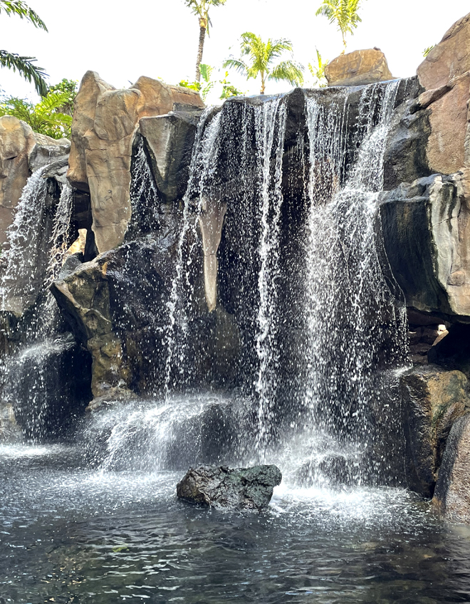 The waterfall at the Westin Maui.