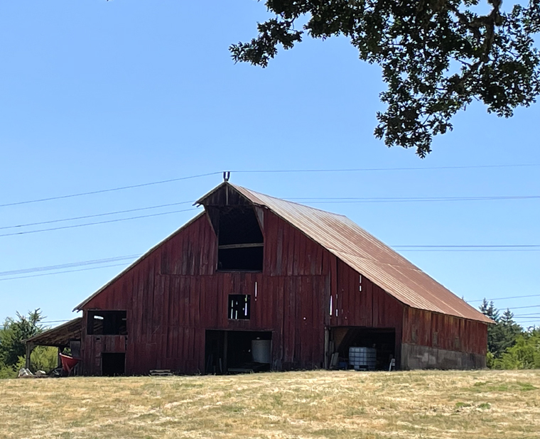 An old barn on the property that may one day become a gift shop and events space.