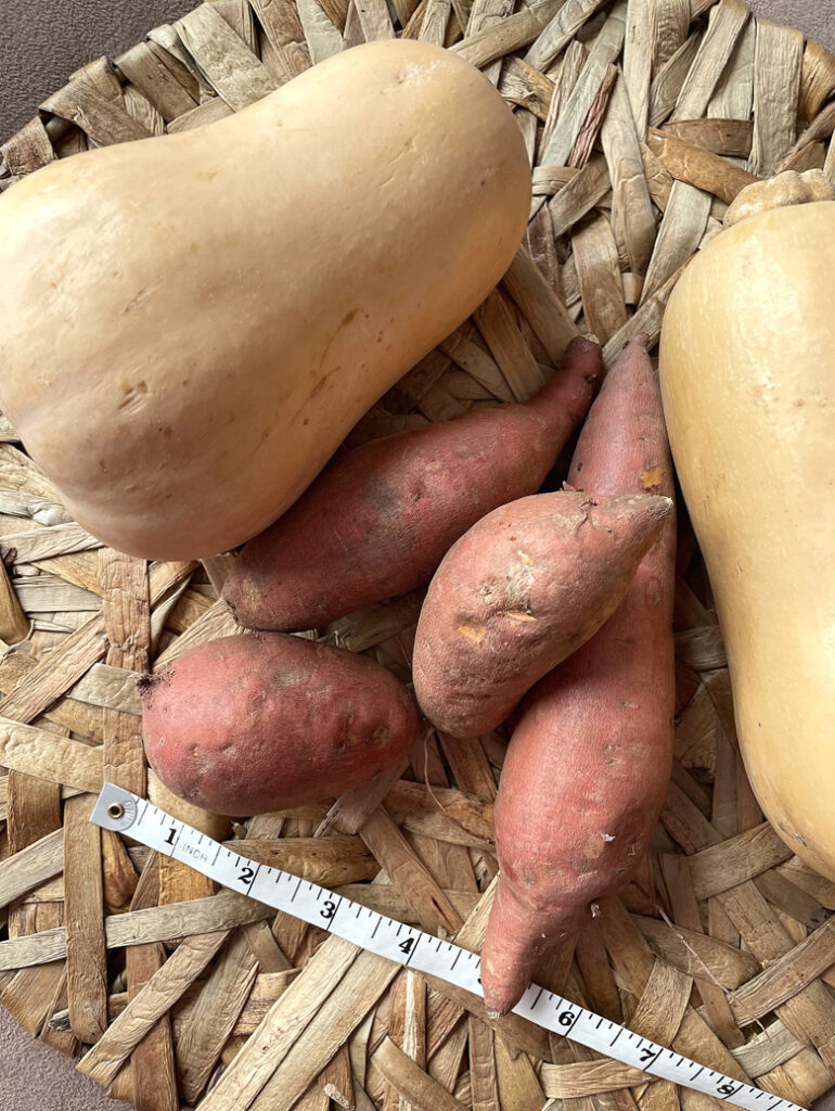 My Misfits Market order included butternut squash and sweet potatoes billed as "unconventional in size.''