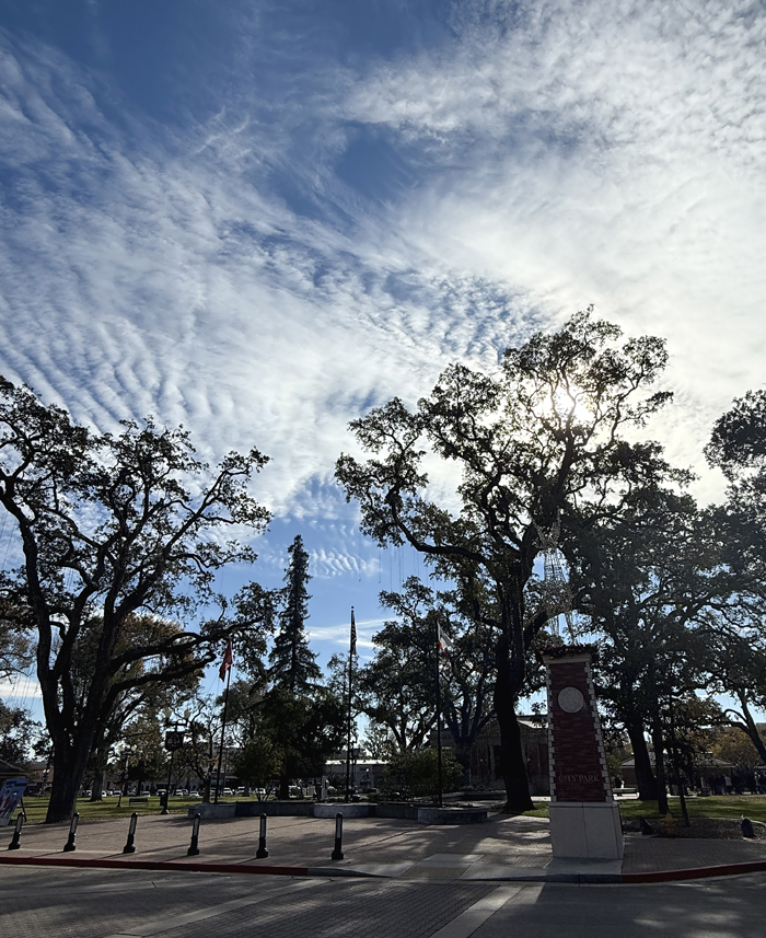 The square in downtown Paso Robles.