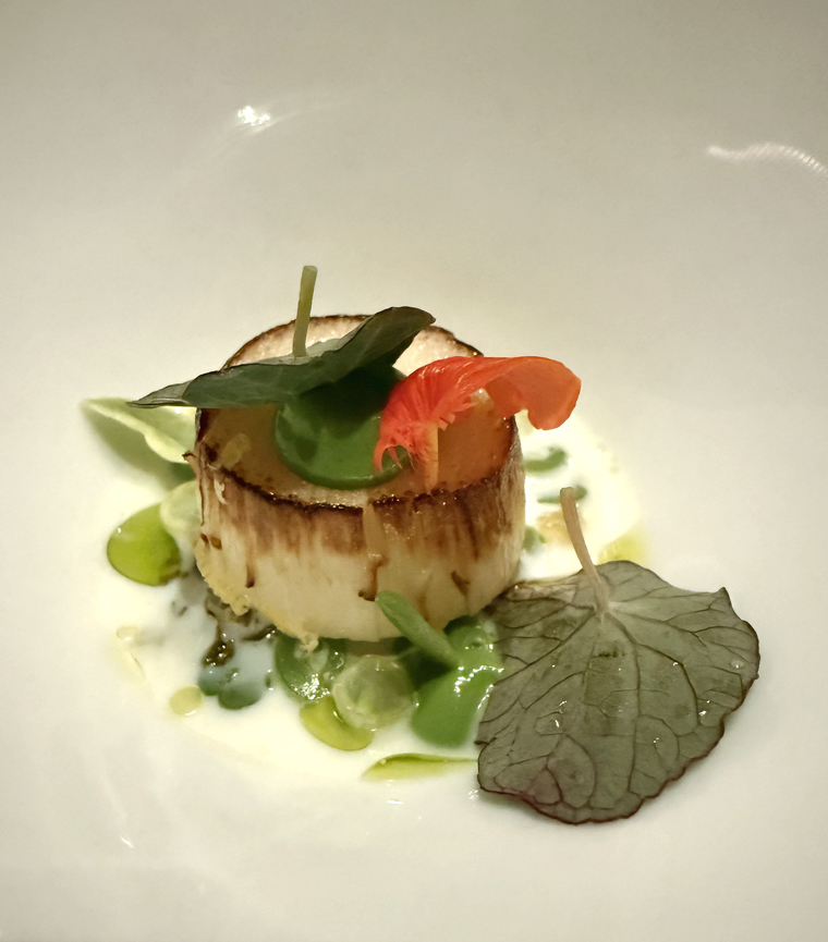 Heart of palm.