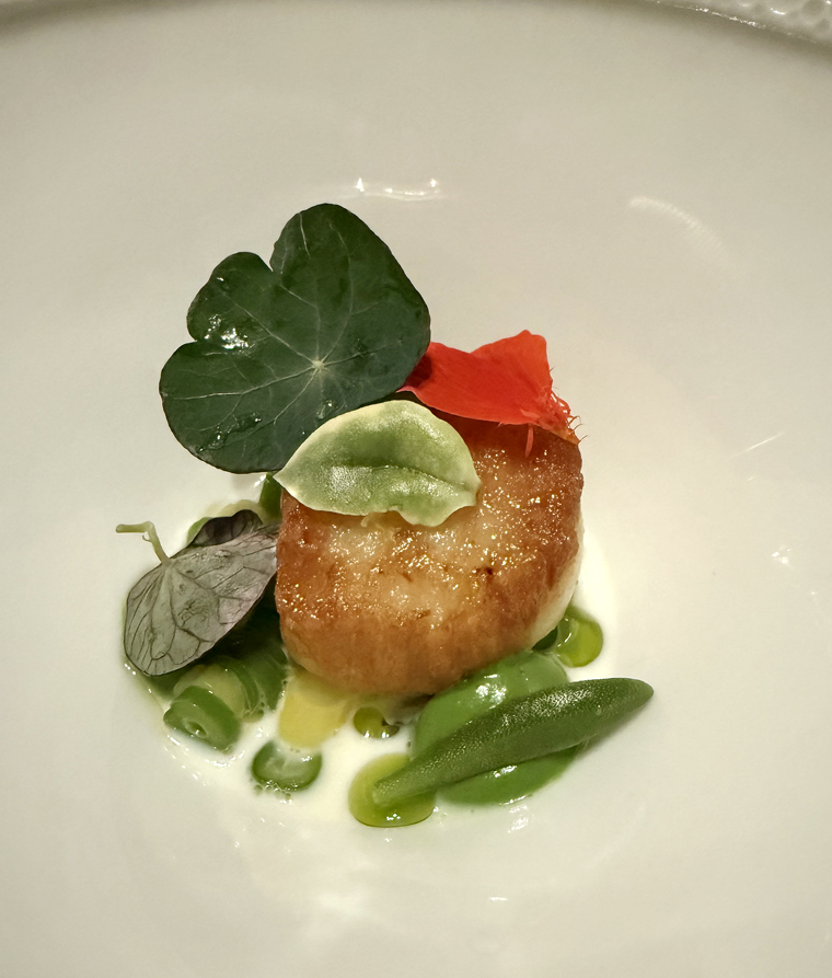 Hokkaido scallop.