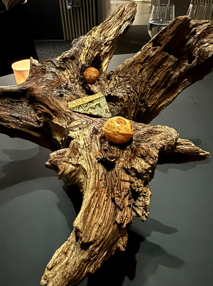 Presentation of the "tinies.''