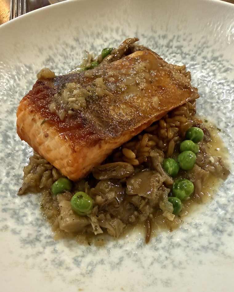 Salmon with kamut.