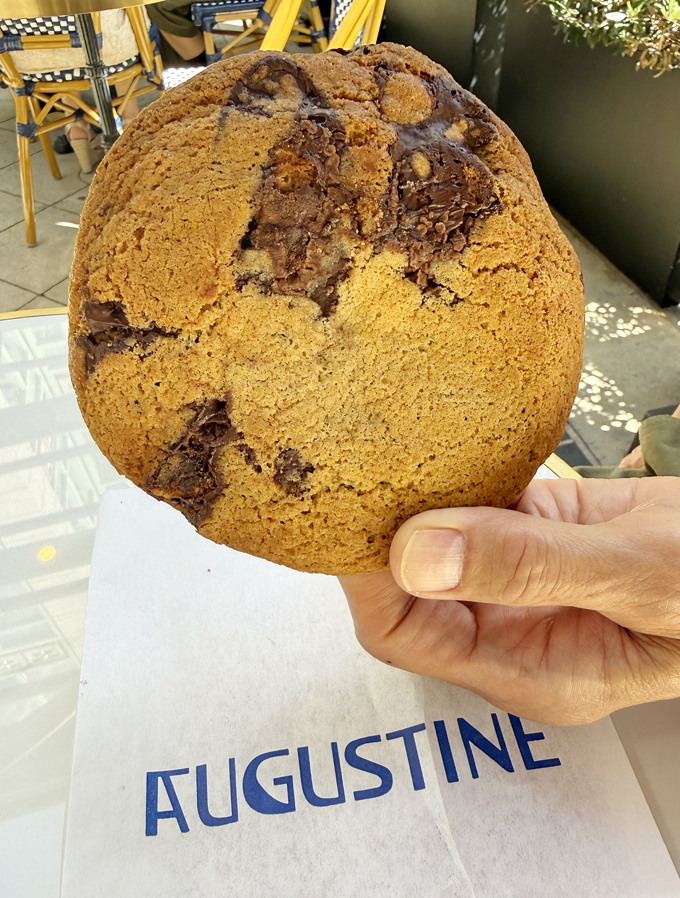 Chocolate chip cookie.
