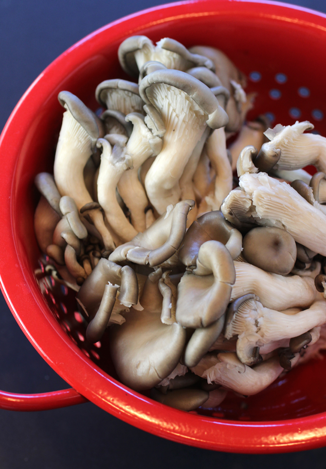 Oyster mushrooms.