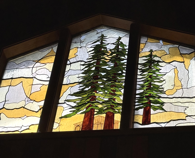 Sequoia trees everywhere you look.